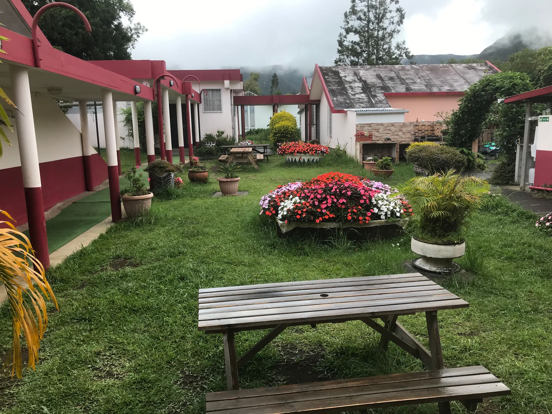 Vue panoramique sur le centre de vacances Les Hortensias et la forêt réunionnaise